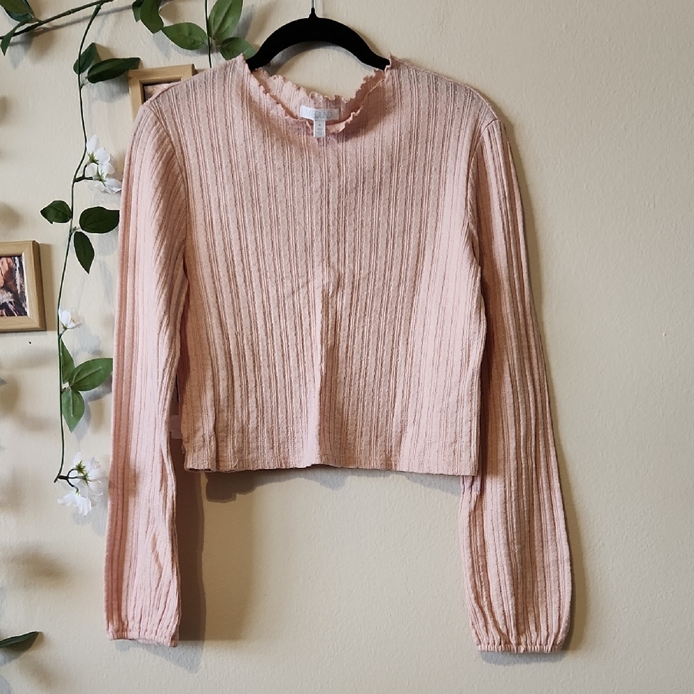 Abound Blush Dainty Knit Long Sleeve Crop Top - M
